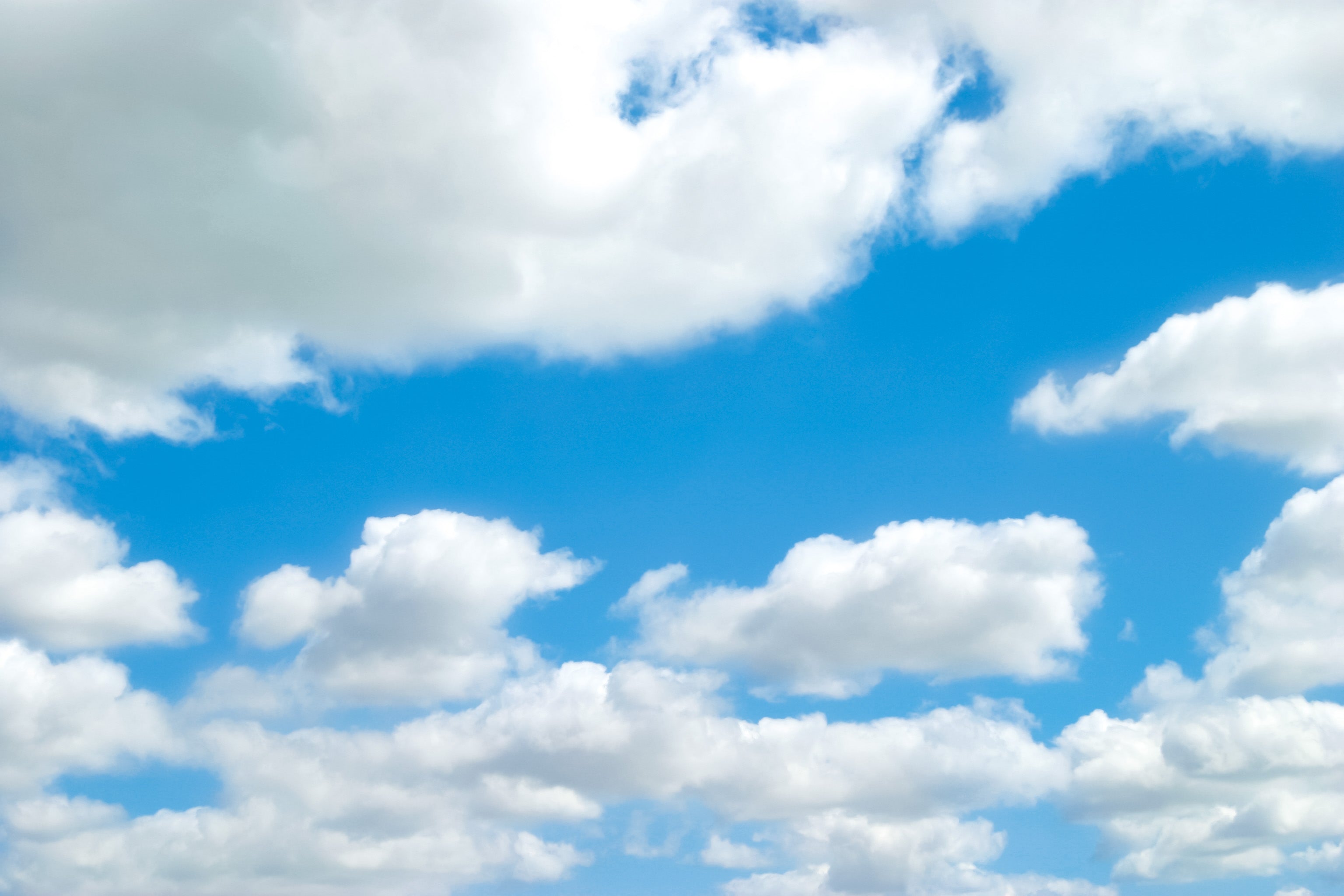 3.11　～震災から5年目を迎えて～