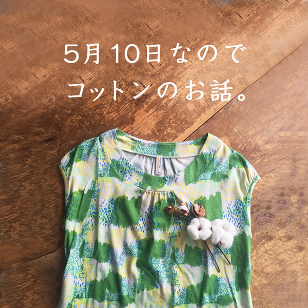 5月10日なので、コットンのお話。