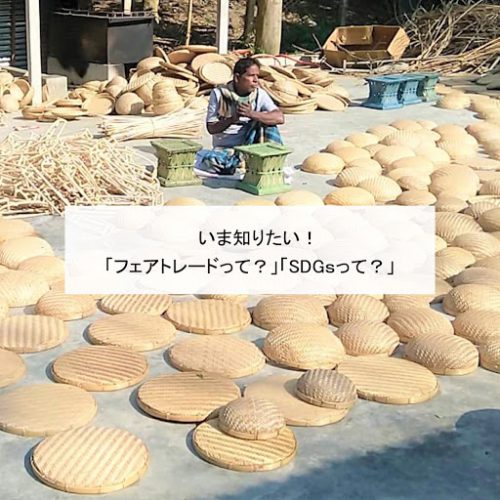 いま知りたい！ 「フェアトレードって？」「SDGsって？」
