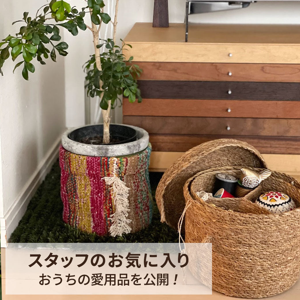 スタッフのお気に入り －おうちで愛用中のインテリア雑貨－