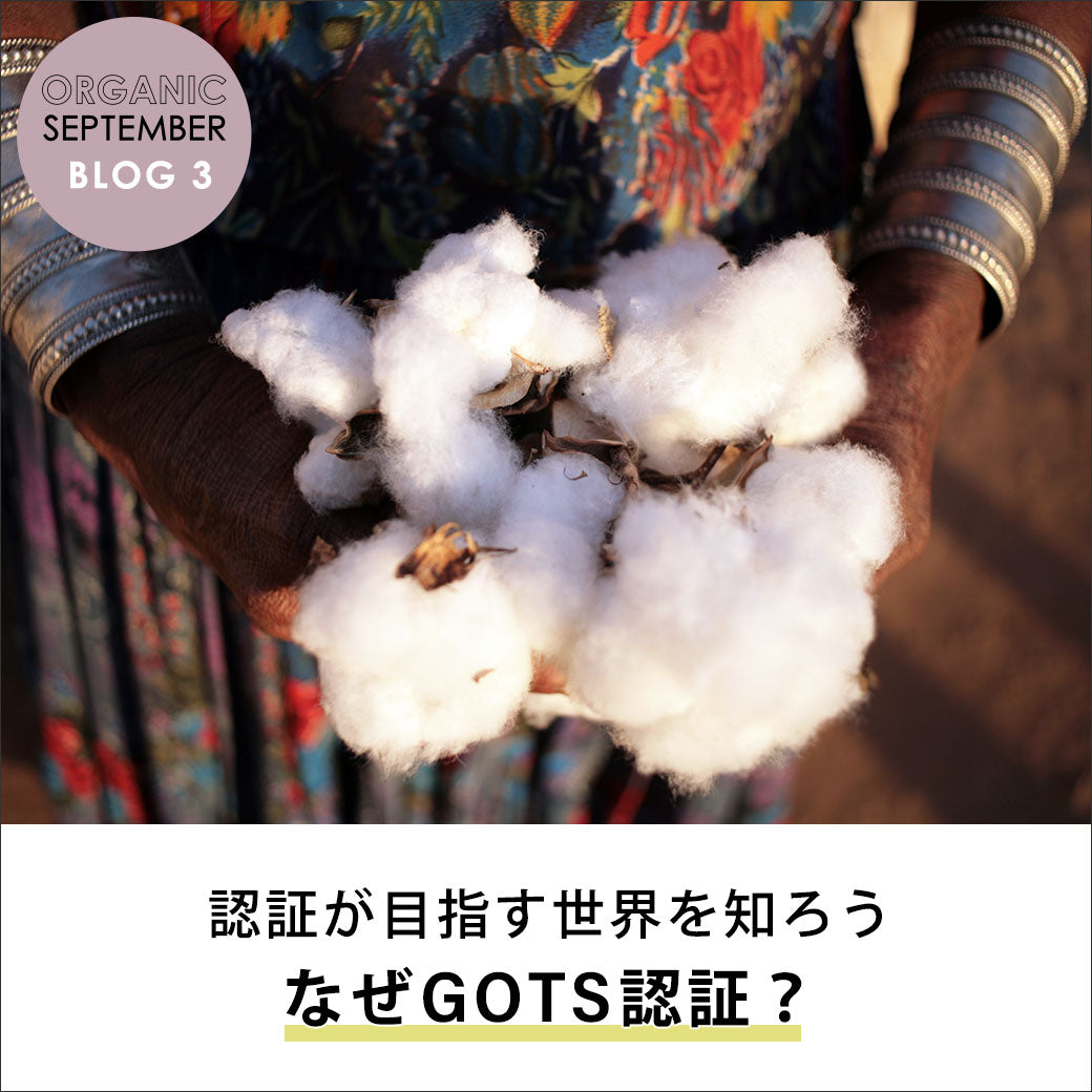 認証が目指す世界を知ろう<br>なぜGOTS認証？